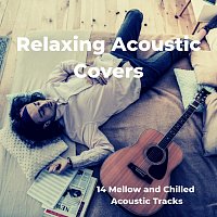 Různí interpreti – Relaxing Acoustic Covers: 14 Mellow and Chilled Acoustic Tracks