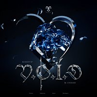CoolKid – V.O.I.D