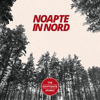 The Kryptonite Sparks – Noapte in Nord