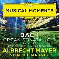 Albrecht Mayer, Vital Julian Frey – J.S. Bach: Organ Sonata No. 3 in D Minor, BWV 527 (Adapt. for Oboe and Harpsichord by Mayer and Frey) [Musical Moments]