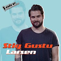 Stig Gustu Larsen – Sign Of The Times [Fra TV-Programmet "The Voice"]