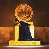 Enya – The Memory of Trees