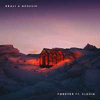 Ekali & Medasin – Forever (feat. Elohim)