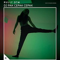 Rully Dtm – DJ Pak Cepak Cepak