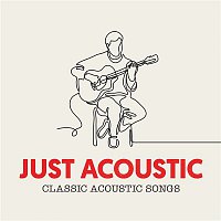 Various  Artists – Just Acoustic