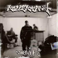 Kollektiv24 – Zwei Vier