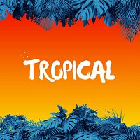 Přední strana obalu CD Tropical