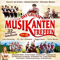 Přední strana obalu CD Das grosze Musikantentreffen - Folge 33