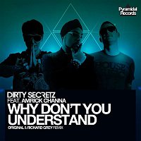 Dirty Secretz – Why Don't You Understand (feat. Amrick Channa)