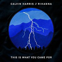 Calvin Harris, Rihanna – This Is What You Came For