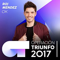Roi Méndez – OK [Operación Triunfo 2017]