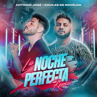 La Noche Perfecta [Remix]