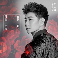 Jimmy Lin – The Roses In My Eye
