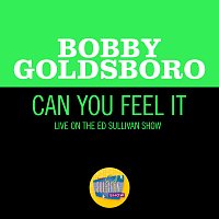 Bobby Goldsboro – Can You Feel It [Live On The Ed Sullivan Show, February 8, 1970]