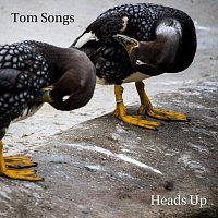 Tom Songs – Heads Up