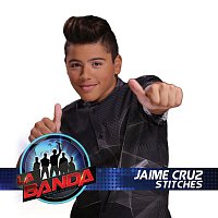 Přední strana obalu CD Stitches (La Banda Performance)