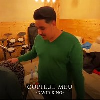 Fratii Turcitu, David King – Copilul meu [Live / 2021]