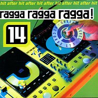 Various  Artists – Ragga Ragga Ragga 14