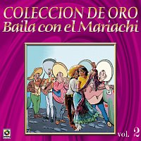 Mariachi Michoacano De Rafael Arteaga – Colección De Oro: Baila Con El Mariachi, Vol. 2