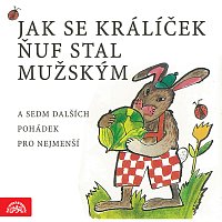 Přední strana obalu CD Jak se králíček Ňuf stal mužským a sedm dalších pohádek pro nejmenší