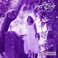 Mystery Lady [ChopNotSlop Remix]