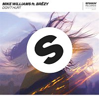 Mike Williams – Don't Hurt (feat. Brezy)
