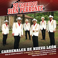 Přední strana obalu CD 20 Corridos Bien Perrones