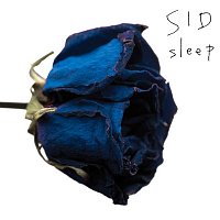 Sid – sleep