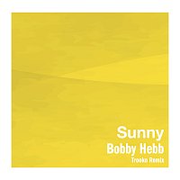 Bobby Hebb – Sunny [Trooko Remix]