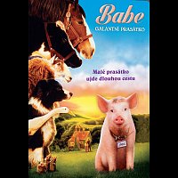 Různí interpreti – Babe: Galantní prasátko DVD