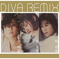Přední strana obalu CD Diva Remix