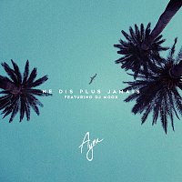 Ayna, DJ Moox – Ne dis plus jamais