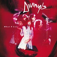 Divinyls – What A Life!