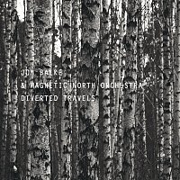 Jon Balke, Magnetic North Orchestra – Diverted Travels
