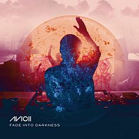 Fade Into Darkness [Remixes]