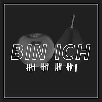 Přední strana obalu CD Bin Ich