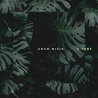 Adam Mišík – V tobě