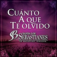Banda Los Sebastianes De Saúl Plata – Cuánto A Que Te Olvido
