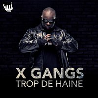 X-Gangs – Trop de haine