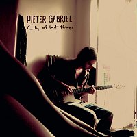 Pieter Gabriel – City Of Last Things