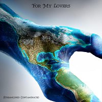 Streamlined Contaminates – For My Lovers