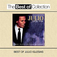 Julio Iglesias – Ma Vie: Mes Plus Grands Succes