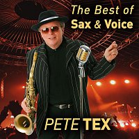 Přední strana obalu CD The Best of Sax and Voice