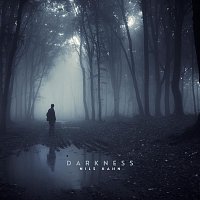 Nils Hahn – Darkness