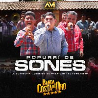 Banda Costa De Oro – Popurrí De Sones
