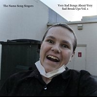 The Name Song Singers – Very Sad Songs About Very Sad Break Ups, Vol. 1