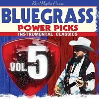 Bluegrass Power Picks: Instrumental Classics [Vol.5]