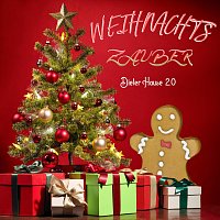 Dieter Hause 2.0 – Weihnachtszauber