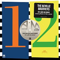 The Neville Brothers – Fly Like An Eagle