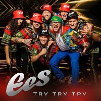 EES – Try Try Try